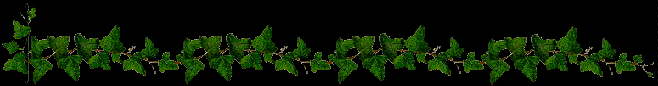 ivyline.jpg (10861 bytes)